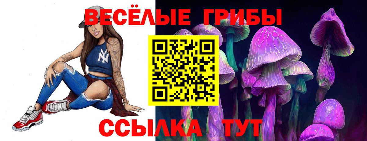 Псилоцибиновые грибы Psilocybine cubensis  Вход с VPN  Кольчугино 